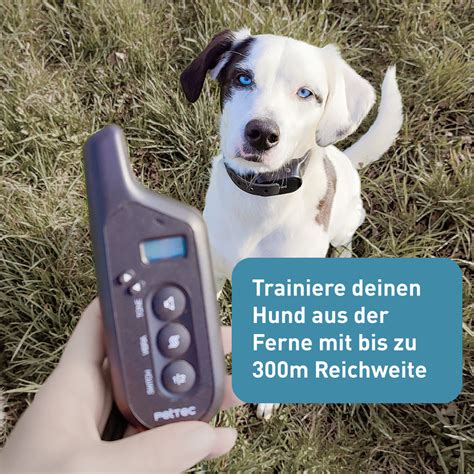 ferntrainer hund spray|Ferntrainer für Hunde: Schonendes Training aus der。